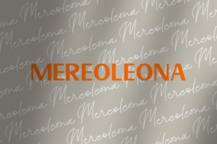 Mereoleona Duo: A Font That Elevates Your Web Design