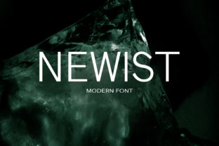 Newist Font: A Playful Typeface for Digital Design