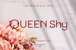 Queen Shy Font: A Polished Touch for Real-World Branding