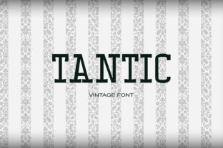 Tantic: A Timeless Typeface for Editorial Excellence